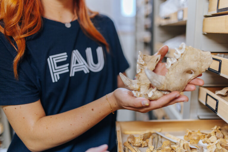 Geschichte des Lebens: Wie nachhaltig sind Datenbanken?