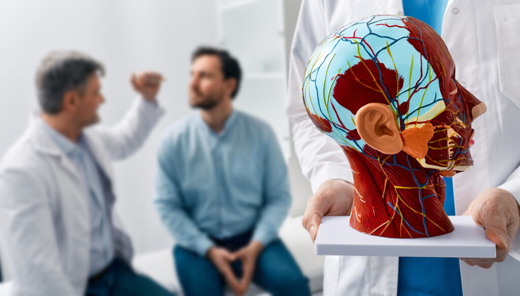 Anatomisches Modell eines menschlichen Kopfes mit Gefäßstrukturen und Nerven im Vordergrund einer Sprechstunde eines Neurologen mit einem Patienten im Krankenhaus