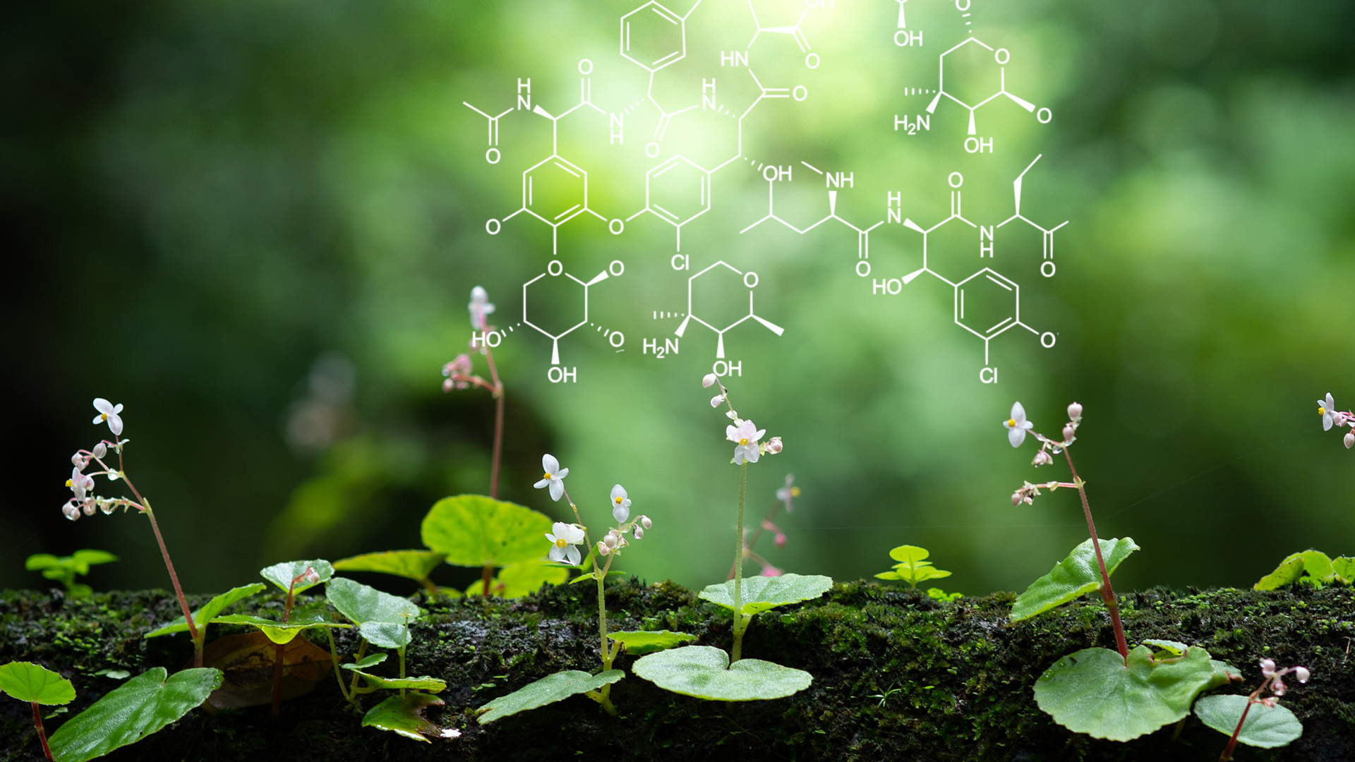 Chemische Formel vor grüner Natur